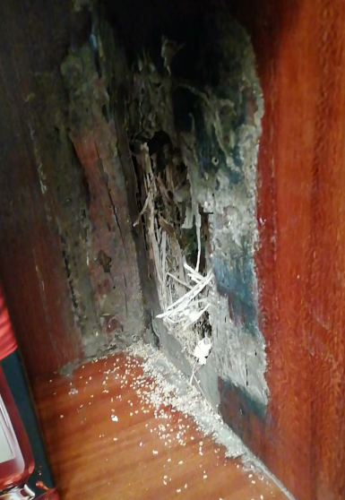 揭西哪里有殺白蟻